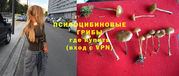 не бодяженный Алзамай