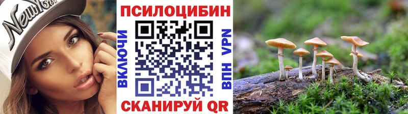 Псилоцибиновые грибы Magic Shrooms  где можно купить наркотик  Томмот 